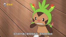 论制作组对亲儿子喷火龙的偏心程度有多大，某龟某草含泪表示抗议