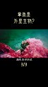 为母则刚，抱歉以这种方式重新认识你……海洋生物 科普 猎奇  涨知识  创作人计划