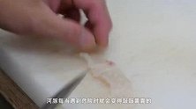 河豚鼓鼓的肚子里装的是什么？小哥切开一看，不料竟是这些东西