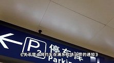 上海市道运局回应“浦东机场禁止网约车运营”：出租车供应充足