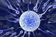 男性没有“小蝌蚪”居然还能做试管来助孕？