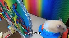 小仓鼠大战史蒂夫，从泡泡板监狱逃离，又陷水滑梯迷宫能逃脱吗？