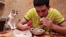 猫咪可怜巴巴看着主人吃饭，猫：能给喵吃一口吗