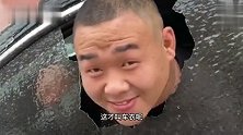 达尔文：东北这天气，真不是雕塑能待的地方