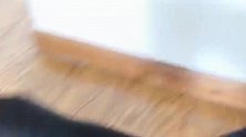 主人不陪啵啵乐玩，啵啵乐就叼来抹布让主人干活，太逗啦！