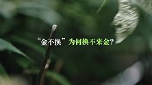 网络纪录片《本草溯源》第一季