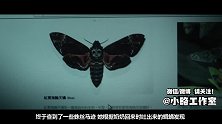 轰动台湾的真实灵异事件改编 《红衣小女孩》 事实证明鬼孩子比熊孩子更可怕