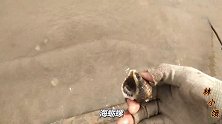 自己抓的海螺就是鲜，煮30个不够吃，家住海边餐桌每天有海鲜