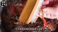 小伙秘制十三香小龙虾，做法简单，吸一口满嘴虾黄，后悔做少了