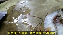 蒜蓉蒸虾改刀摆盘很关键，大厨详细教学，这样蒸出来味道鲜香入味