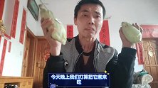 农村小佘花一分钱抢购玉米，做了萝卜玉米排骨汤，这味道超好吃