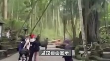 巴厘岛一景区大树倒塌致2人身亡，游客奔逃大树轰然倒下，现场曝光！
