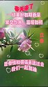 冬去春来，一切美好如期而至！繁华与共，温暖如初，病毒永远过去