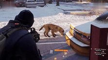 《全境封锁》惊现拉屎小狗