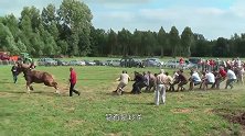 将8000只小黄鸭直接倒进河里，看谁先游到终点，赢了还有奖励
