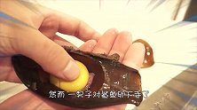 “鲨鱼卵”到底是啥味小伙拿刀切开后，尝了一口，表情一言难尽