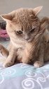 哼，宝宝宁死不屈