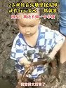 四川资阳：2岁萌娃陪爸爸爷爷在泥塘里捉泥鳅，动作行云流水