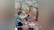 杨丽萍姐妹俩赏花，为拍照扯树枝摇花瓣雨，网友怒批没素质