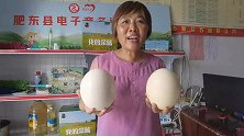 合肥肥东县响导乡宋盛村主任为珍禽扶贫产业园代言，助力脱贫攻坚