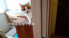 大脸和猫奴联手欺负猫，却被无情打脸：懂中文但看不见也白扯