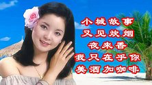 小城故事+又见炊烟+夜来香+我只在乎你+美酒加咖啡