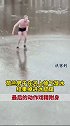 危险动作请勿模仿 荷兰男子河上帅气溜冰，结果……