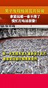 男子发现楼顶瓦片异常，拿望远镜一看不得了，慌忙打电话求助！新闻  涨知识 科普 生活