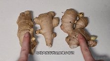 生姜该买哪一种？好多人都买错了，教你诀窍，菜贩子看了都点赞