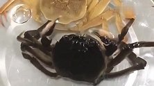 螃蟹脱壳，网友：这个时候口感最好