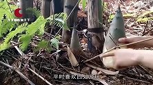 男子山中发现“九尾狐”，专家鉴定后，男子不淡定了