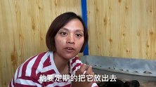 东德牧羊犬生了9个狗宝宝，一个星期了还没睁眼睛，萌萌的好可爱