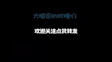 上一秒还岁月静好，下一秒就鸡飞狗跳，中华田园猫真是逗逼一箩筐