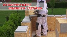 老外用这种特制木块盖房子，搭建就像玩乐高，6天盖好两层楼