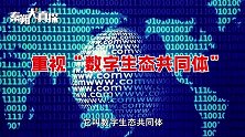 APP和微信小程序到底哪家强？为何曾经的“流量网红”成为“孤岛”