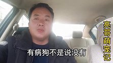 买狗“神器”再不会买到有细小的狗狗，狗贩子都在用，两分钟学会