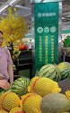 自己动手 丰衣足食 从根本上避免问题 想要逃离地球的社死瞬间  社死