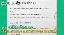 王思聪承担熊猫互娱20亿损失！“零花钱”花完了，还要继续创业？