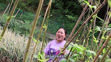 胖妹做回锅肉盖浇饭，饭菜一起拌着吃，又香又辣，大口吃肉就是香
