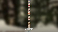 今天,收藏这套中国55项世界遗产图鉴