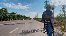 宁夏灵武长枣今年大丰收，树枝压弯了，比蜂蜜还甜