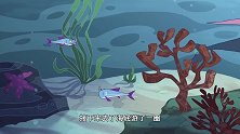 一千零一夜：小男孩被精灵欺骗，互换身体，结果狗狗救了他！