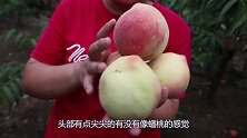 胖妹帮亲戚家摘4筐桃子，回家做“老婆饼”犒劳自己，酥的直掉渣