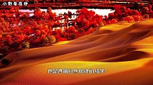 我国在塔克拉玛干沙漠，投资上亿种下大量植物，如今成了什么样？
