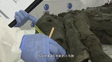 世界最古老血液，42万年前的小马驹，体内还有流动的血