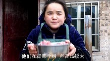 苗大姐拿水果炖排骨，大碗面条配辣椒，大口面条吃得香