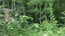 深山发现神秘石砌，村民认为是野人所留，调查后真相令人吃惊！