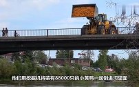 奇葩的比赛，将8万多只鸭用挖掘机倒进河里，看谁游的快