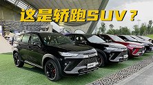 只溜C柱的轿跑SUV，这台哈弗H6S能欣赏得过来吗？