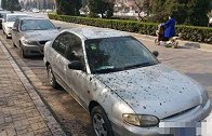 夏季停车时，这4个地方尽量不要停，维修工：别等车报废了才懂！